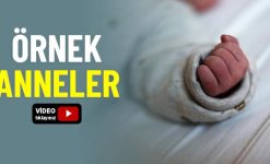 örnek anneler kimlerdir?