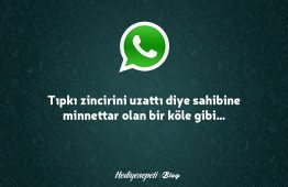 Etkileyici Whatsapp Durum Sözleri - Whatsapp Sözleri 2024